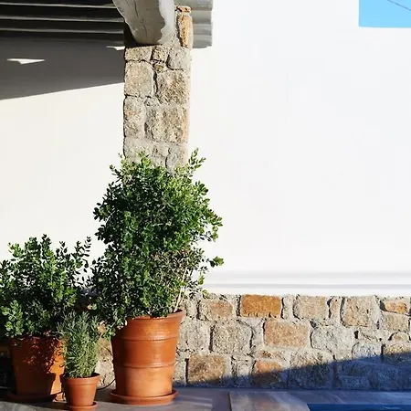 Neroli Villas Mykonos *