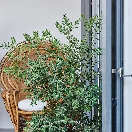 别墅 Neroli Villas Mykonos Fanari (Mykonos)